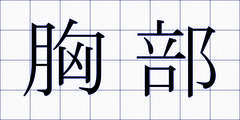 胸部