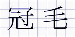 冠毛