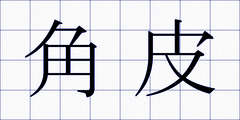 角皮
