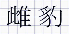 雌豹