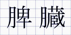 脾臓