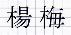 楊梅