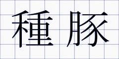 種豚