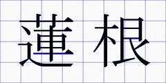 蓮根
