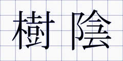 樹陰