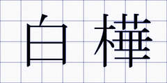 白樺