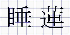 睡蓮