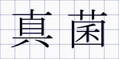 真菌