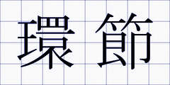 環節
