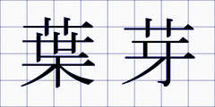 葉芽