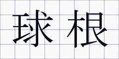 球根