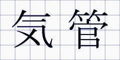 気管