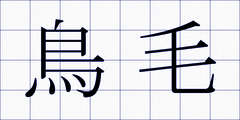 鳥毛