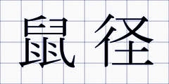 鼠径