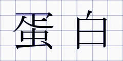 蛋白
