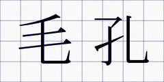 毛孔