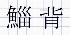 鯔背