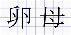 卵母