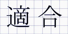 適合