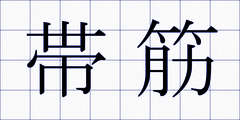 帯筋