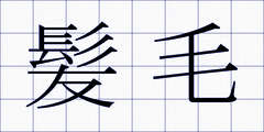 髪毛