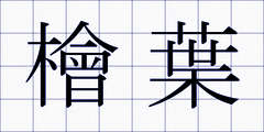 檜葉