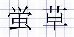 蛍草