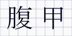 腹甲