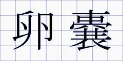 卵嚢