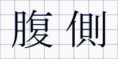 腹側