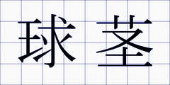 球茎