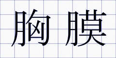 胸膜
