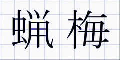 蝋梅