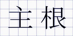 主根