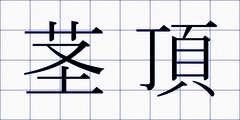 茎頂