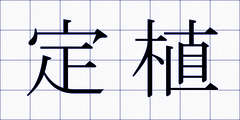 定植