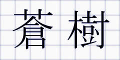 蒼樹