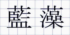 藍藻