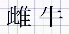 雌牛