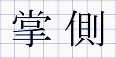 掌側
