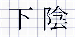 下陰