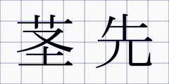 茎先