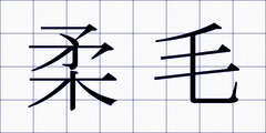 柔毛