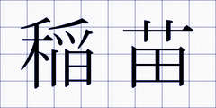 稲苗