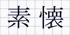 素懐