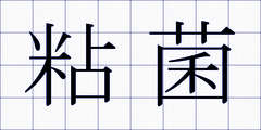 粘菌