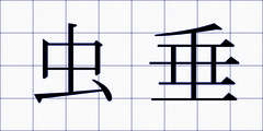 虫垂