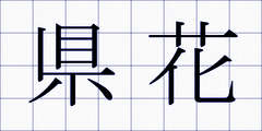 県花