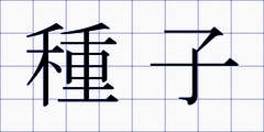 種子