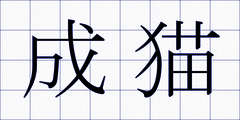 成猫